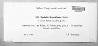 Image Associated With the Occurence